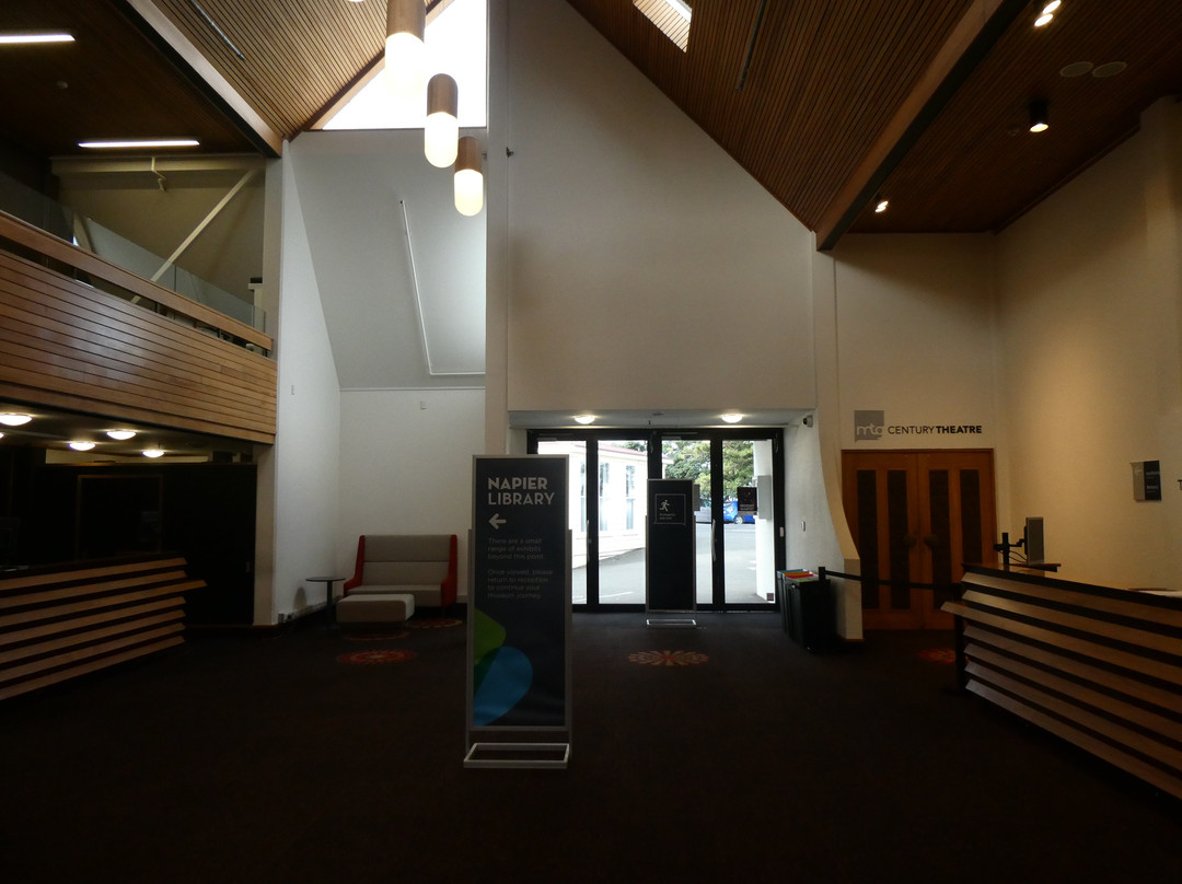 Napier Library and Museum-纳皮尔必去景点