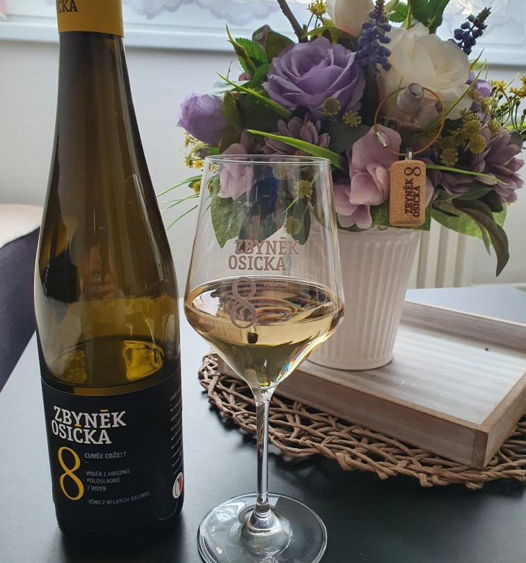 Vinarstvi Zbynek Osicka-Velke Bilovice必去景点