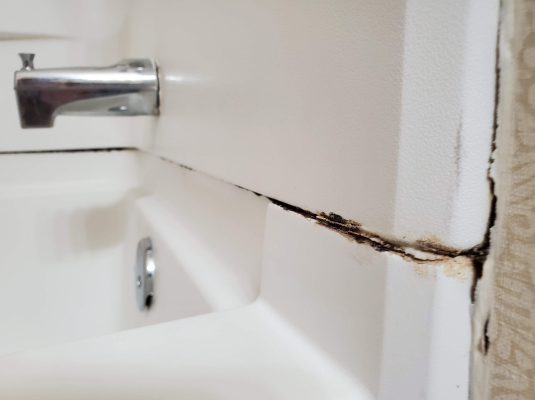 Comfort Inn East主图