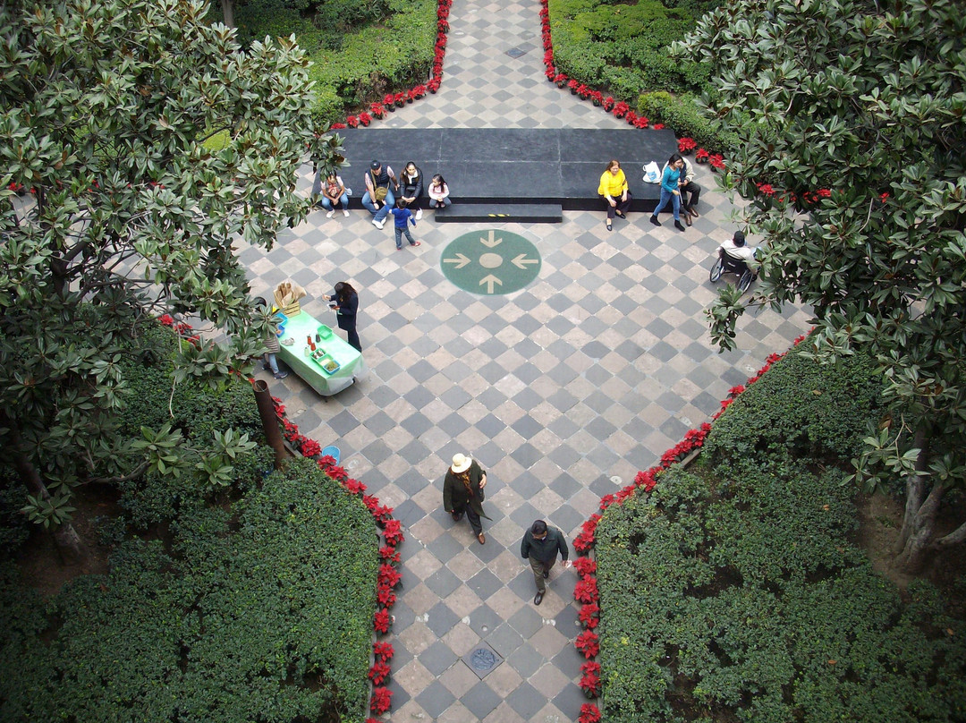 Antiguo Colegio de San Ildefonso景点图片