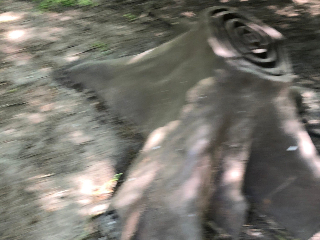 Cure Park - Manifestatie rondom de kunst van zorg景点图片