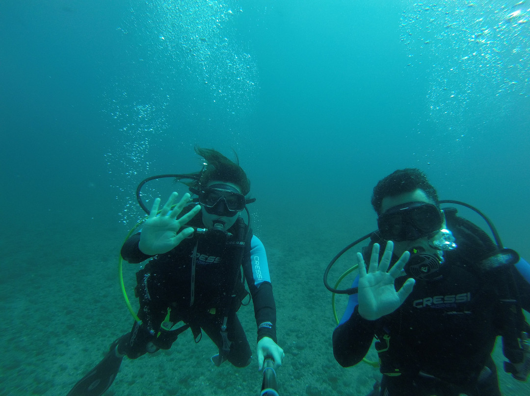 One Love Ocean Divers景点图片