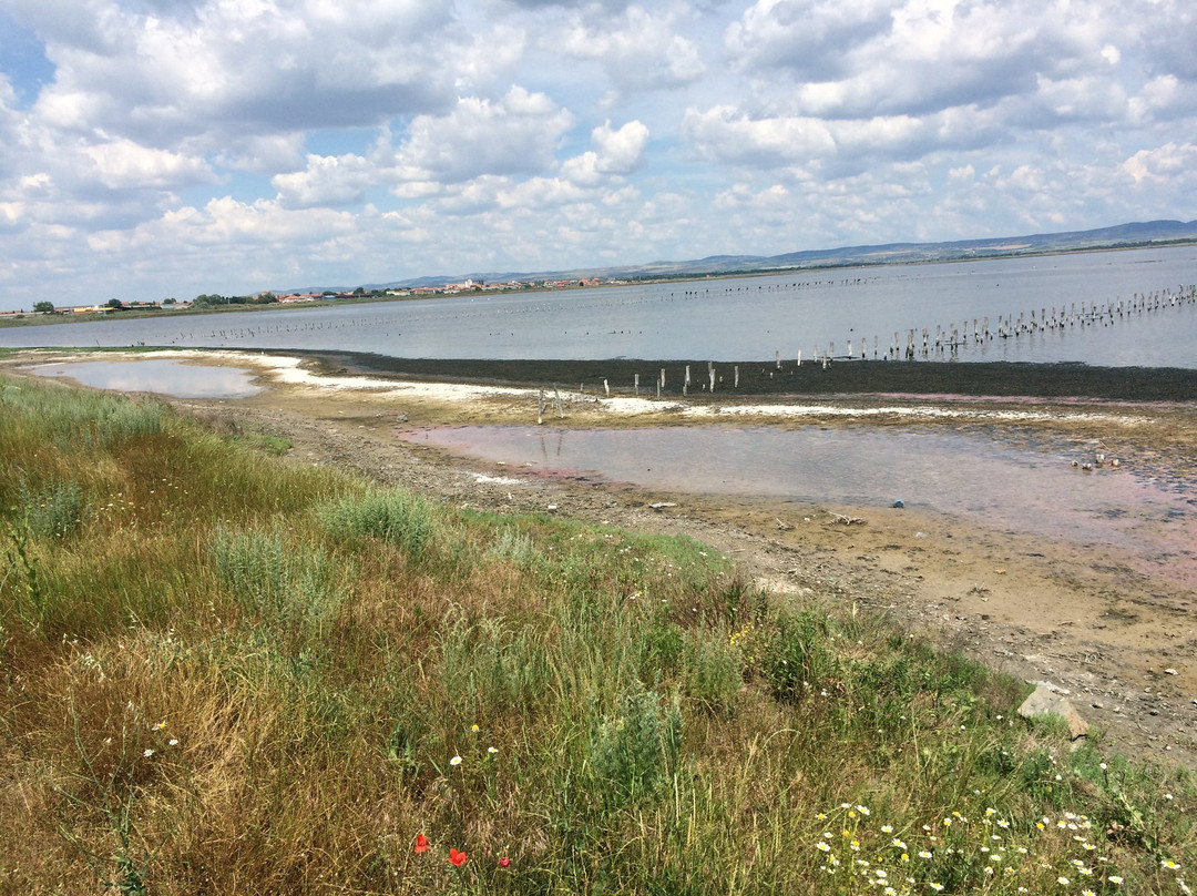 Pomorie Lake-帕莫瑞必去景点