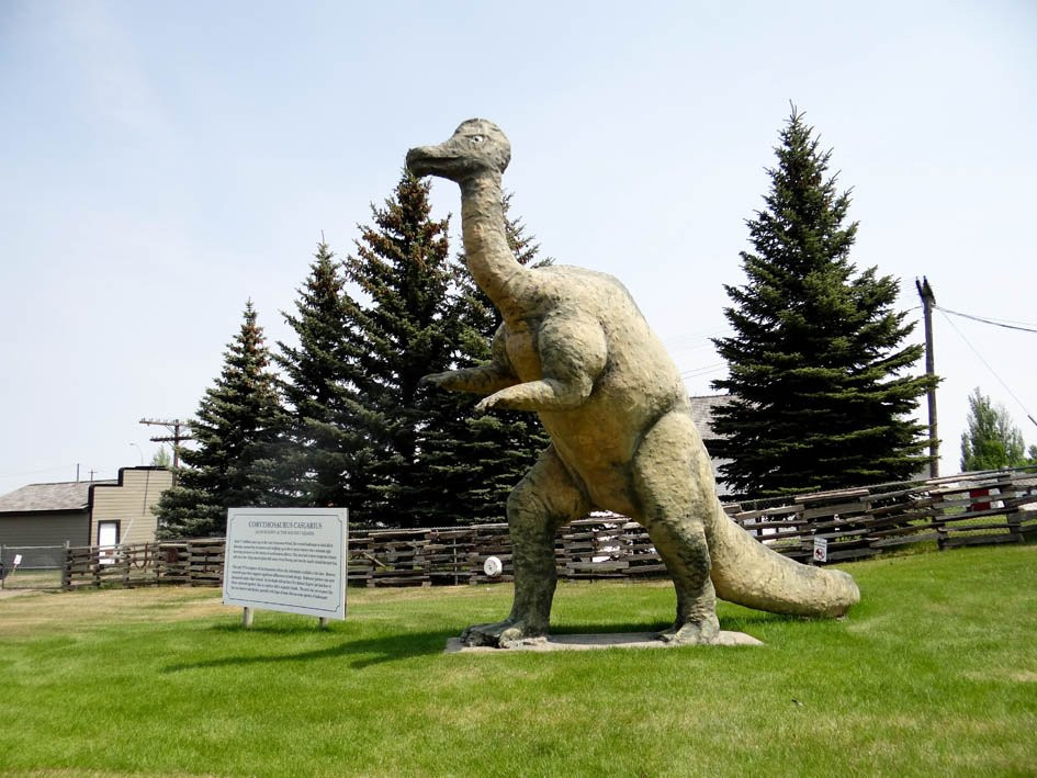 Brooks and District Museum-布鲁克斯必去景点