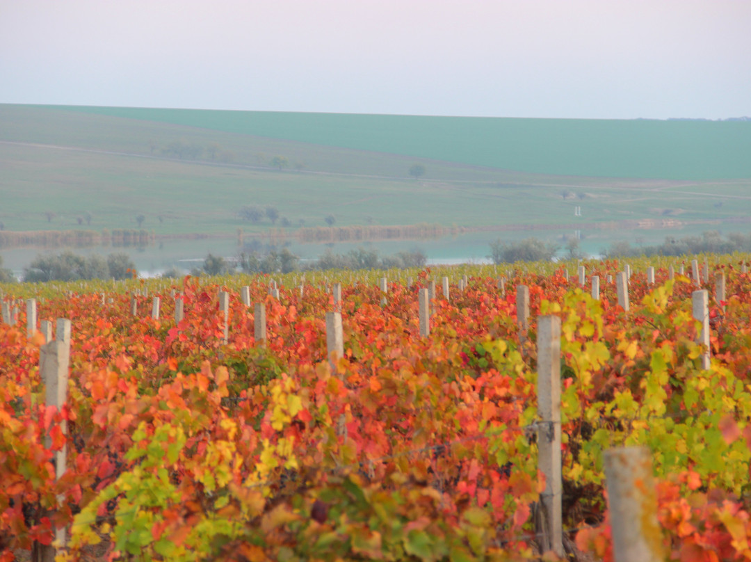 Winehall Oksamytne-Oksamytne必去景点