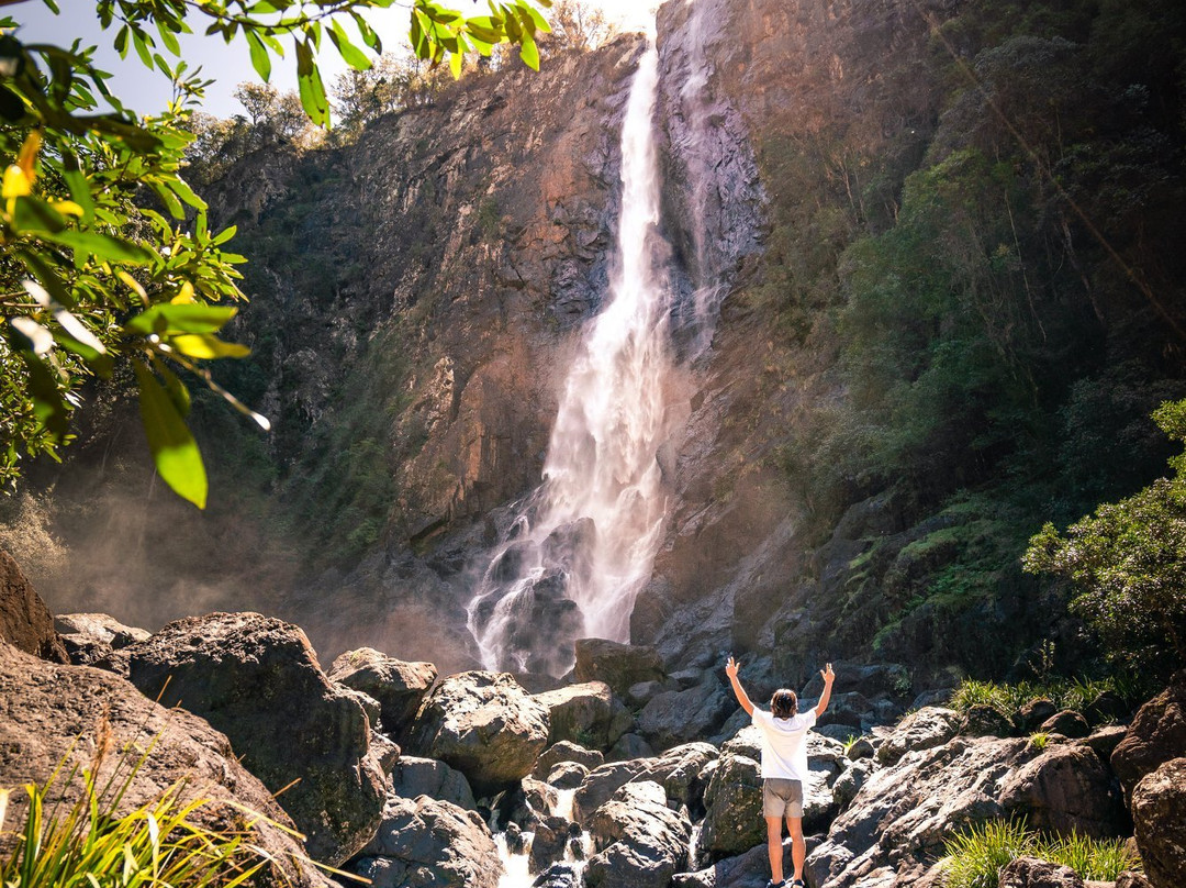 Ellenborough Falls-Elands必去景点