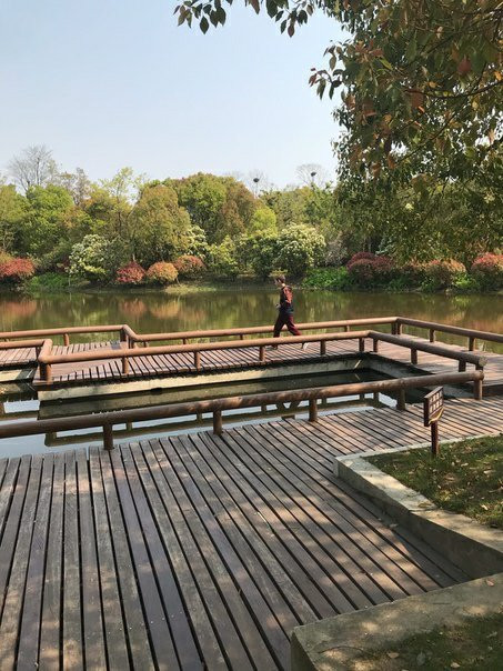 啬园-南通市必去景点