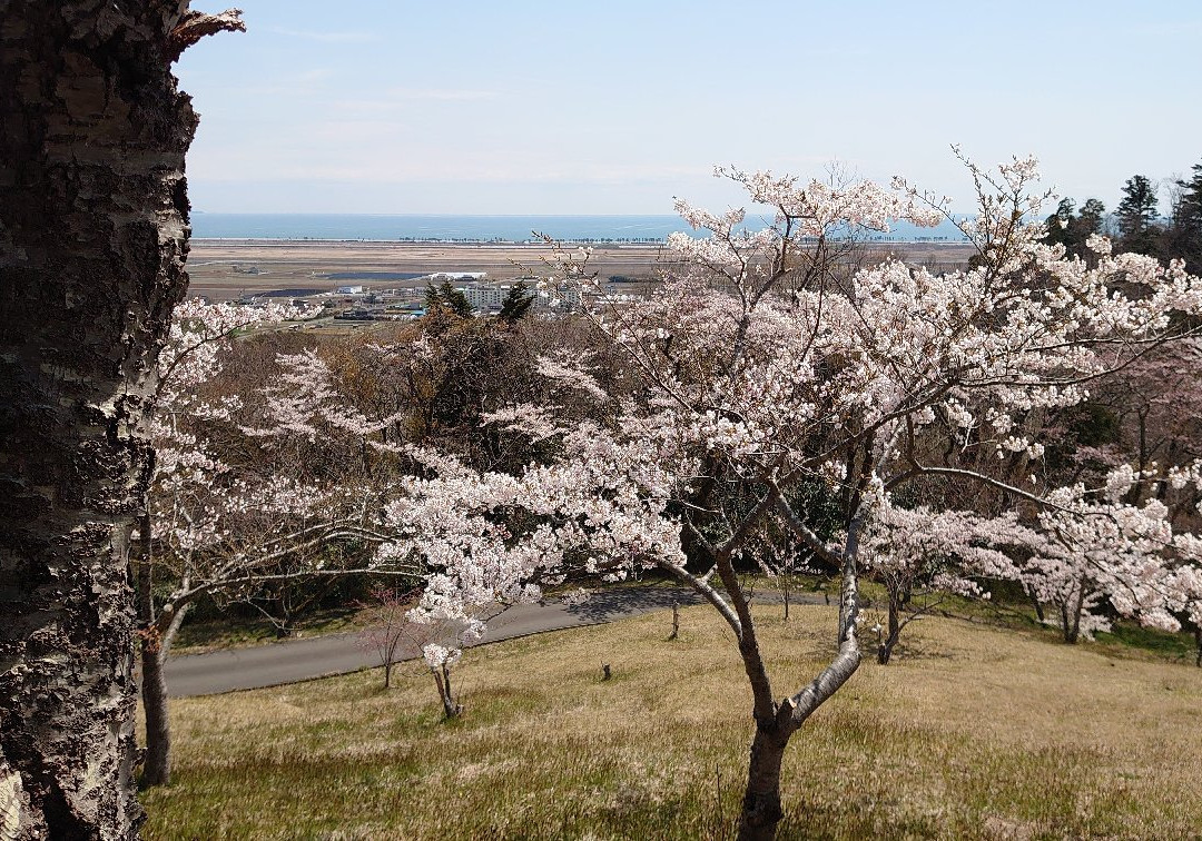 Takiyama Park-东松岛市必去景点