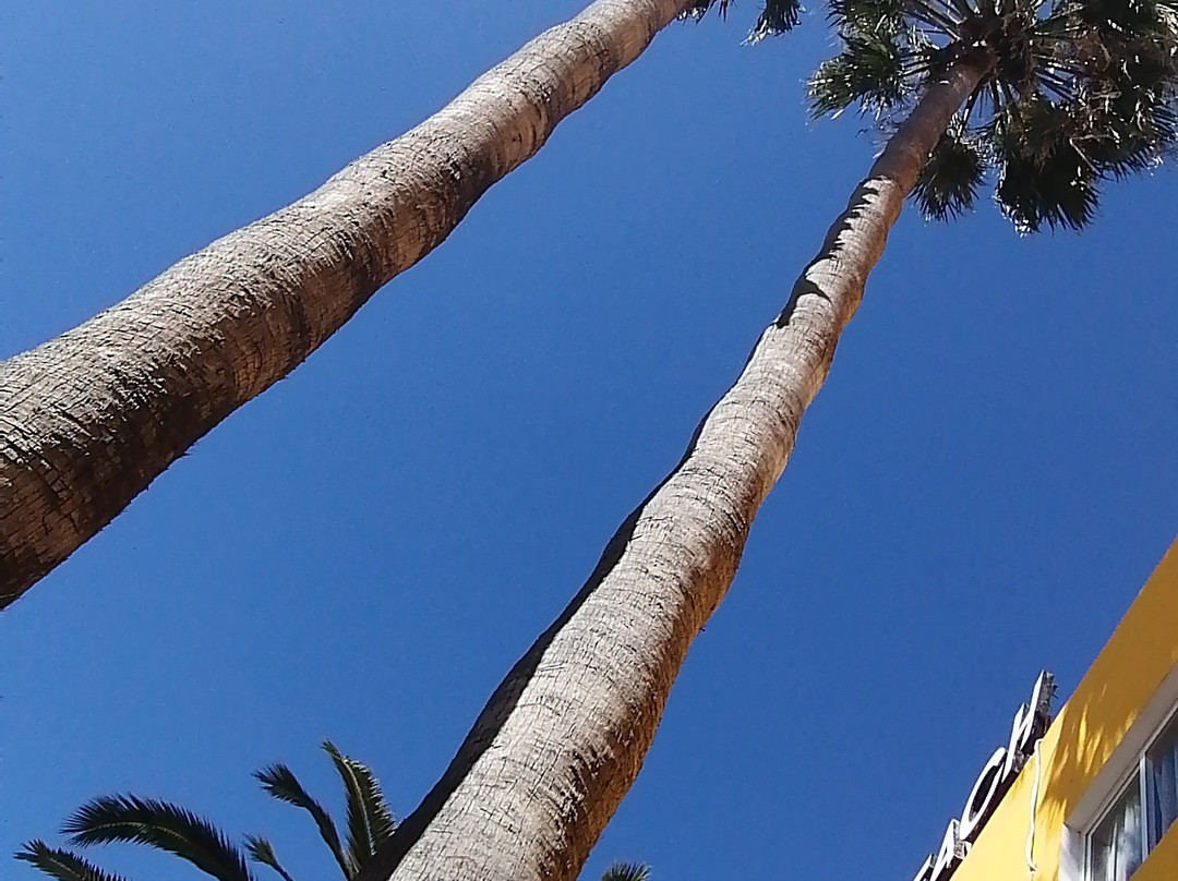 Hotel Sun Holiday Beach主图