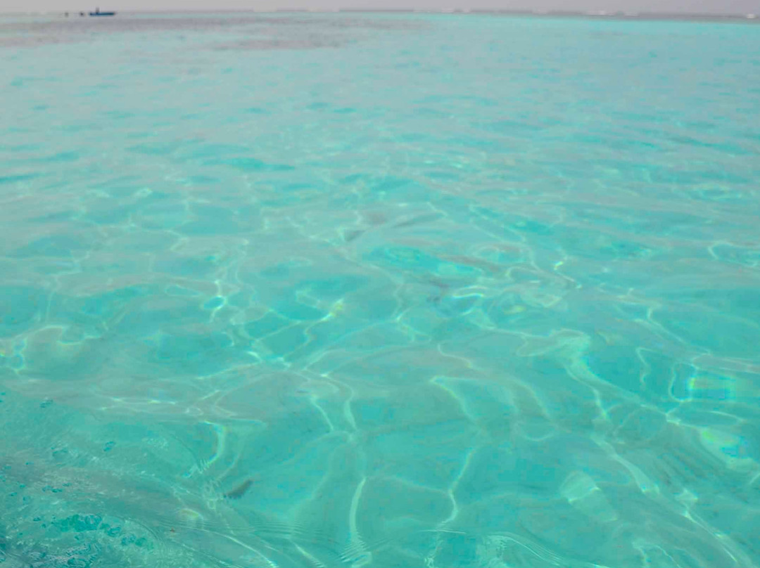 Kavaratti Island Lagoon-Kavaratti Island必去景点