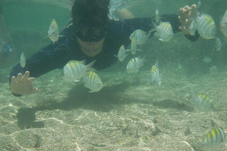 GPS TURISMO ALAGOAS-Maceio必去景点