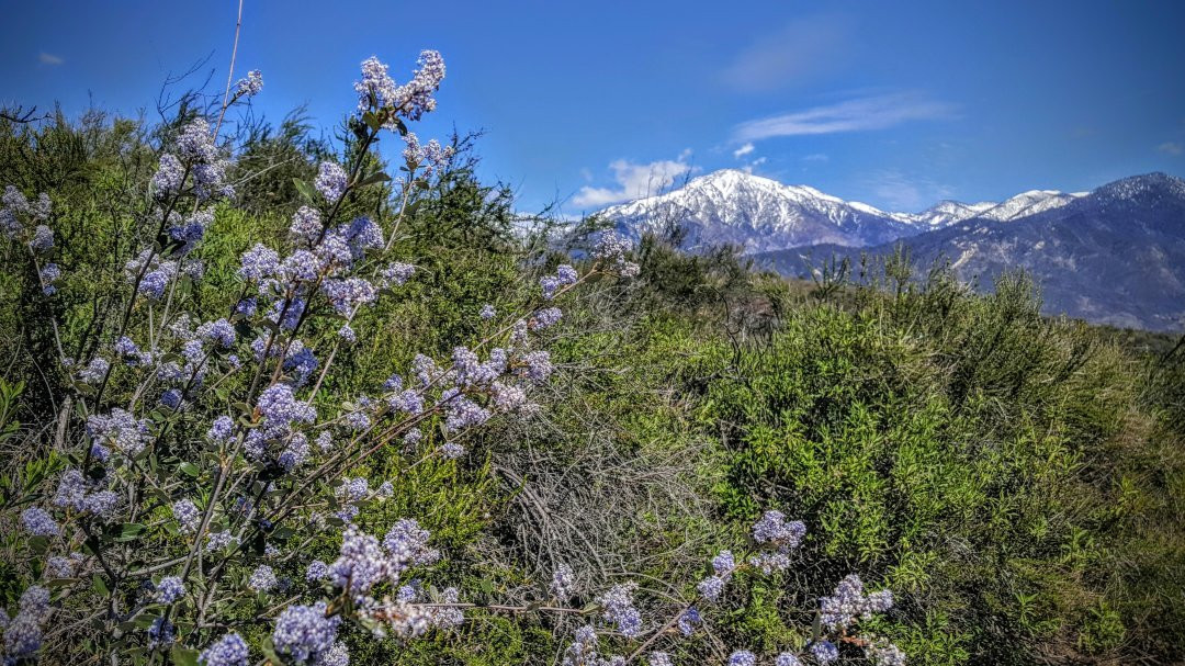 Wildwood Calvary Chapel-Yucaipa必去景点