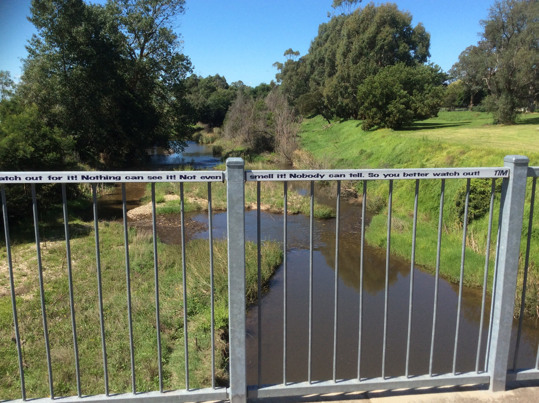 Rainbow Creek Bridge-Cowwarr必去景点