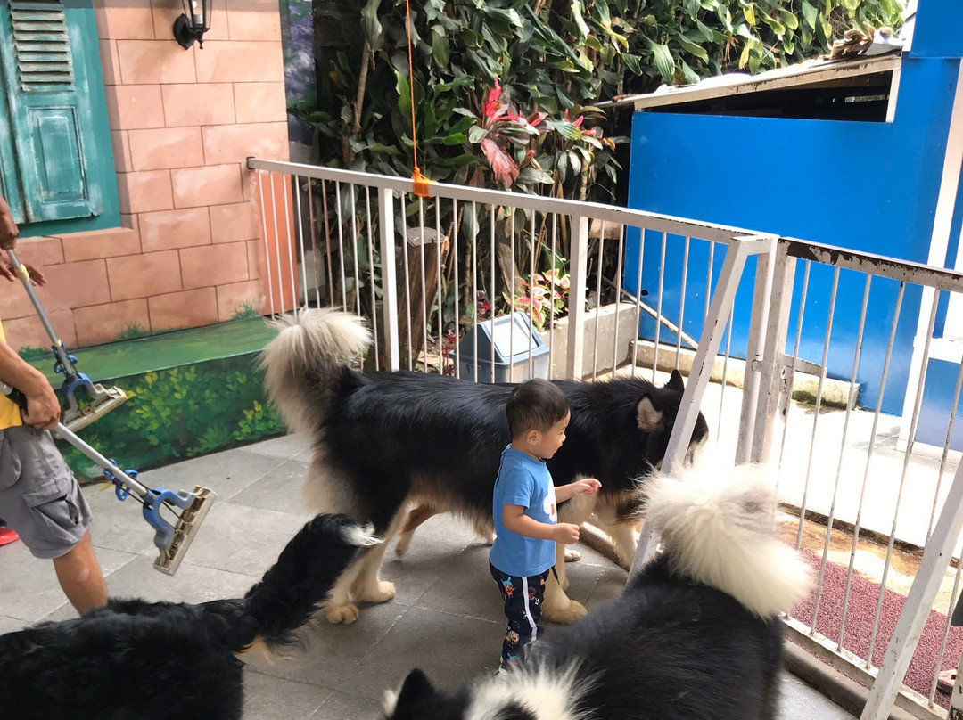 Rumah Guguk-万隆必去景点