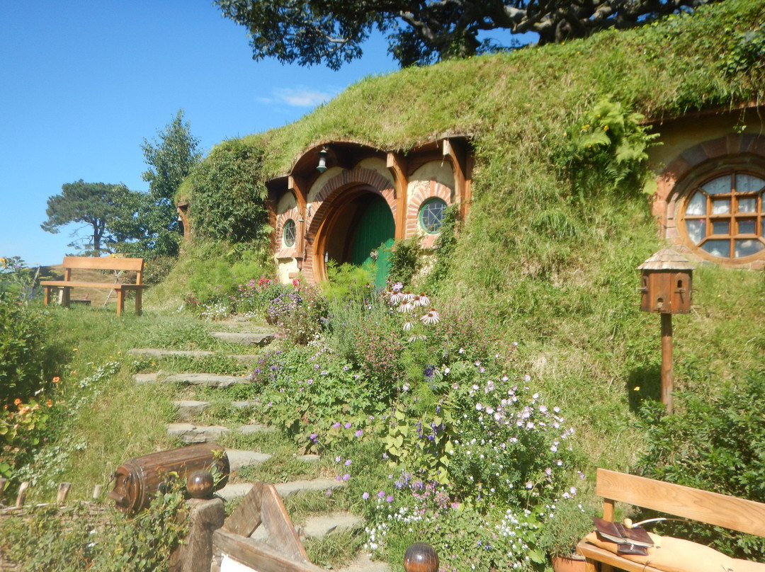 Private NZ Trips-奥克兰必去景点