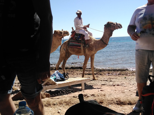 Tours Package Egypt-达哈卜必去景点