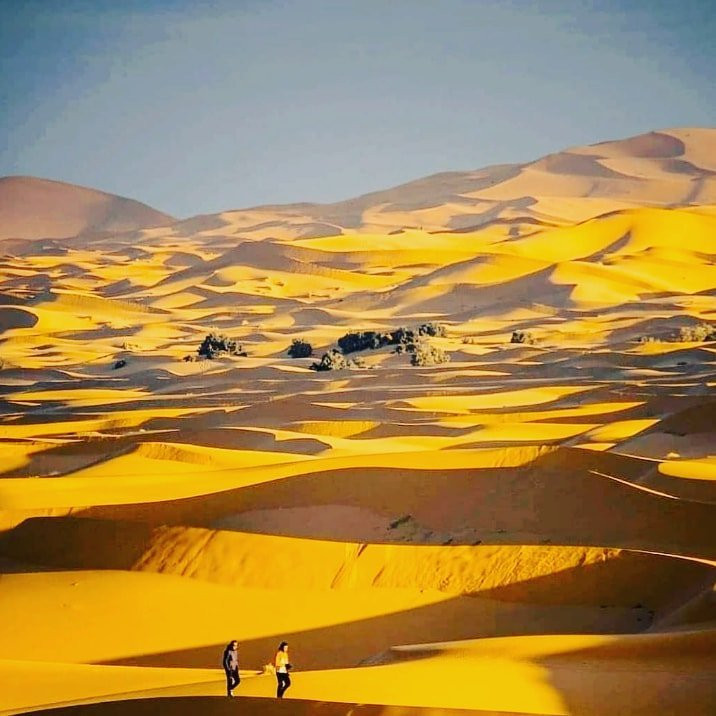 Chebbi Morocco Tours-卡萨布兰卡必去景点