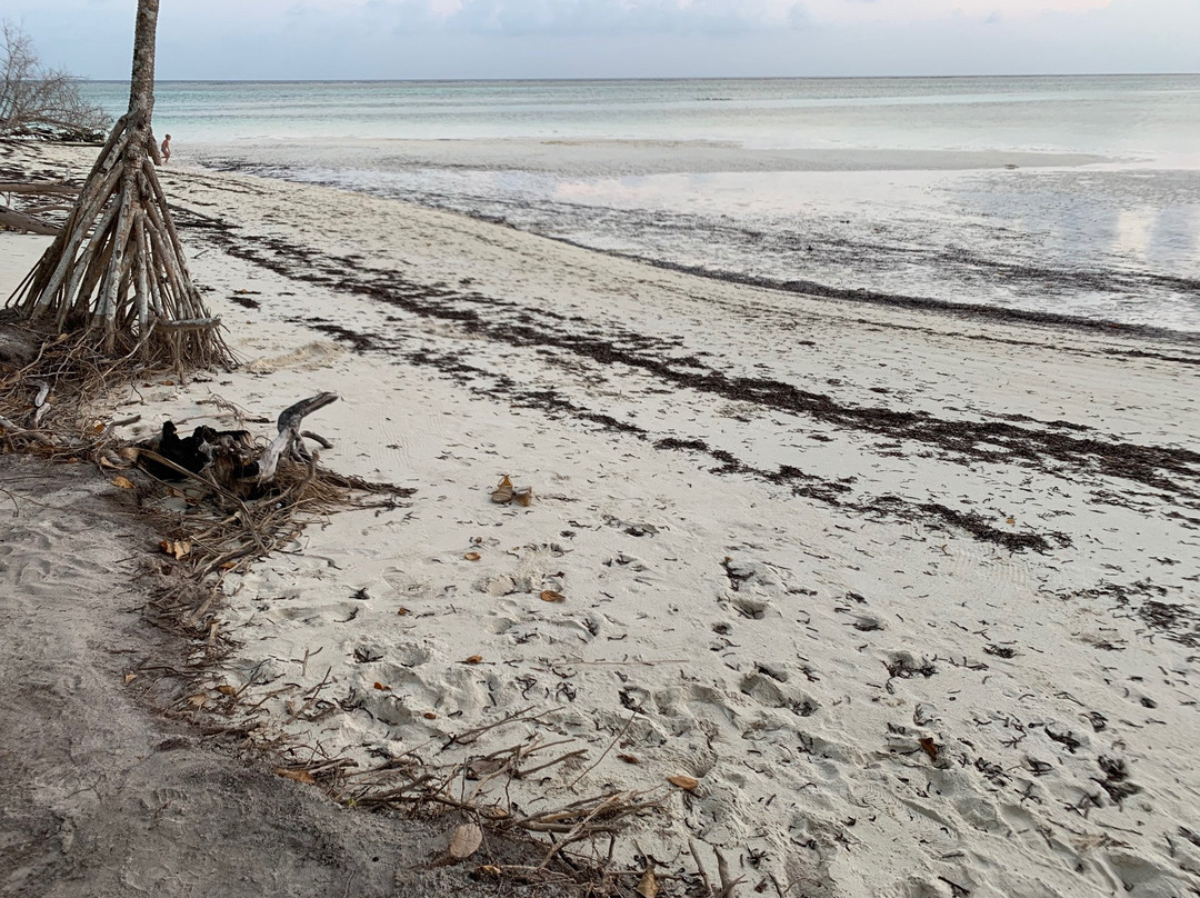 Horsburgh Island Guest House主图