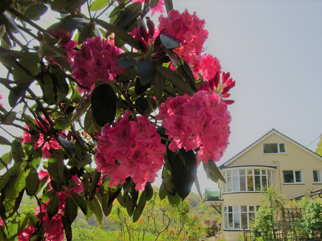Gallen-Treath Guest House主图