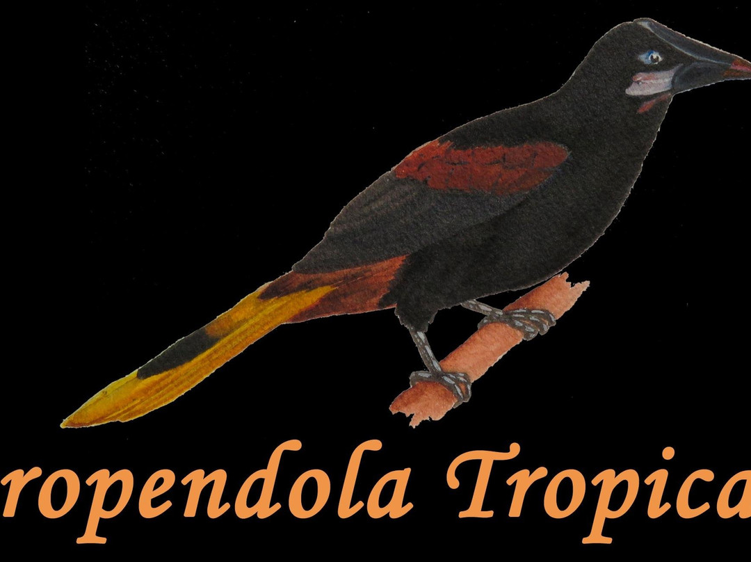 Orpendola Tropical-Quibdo必去景点