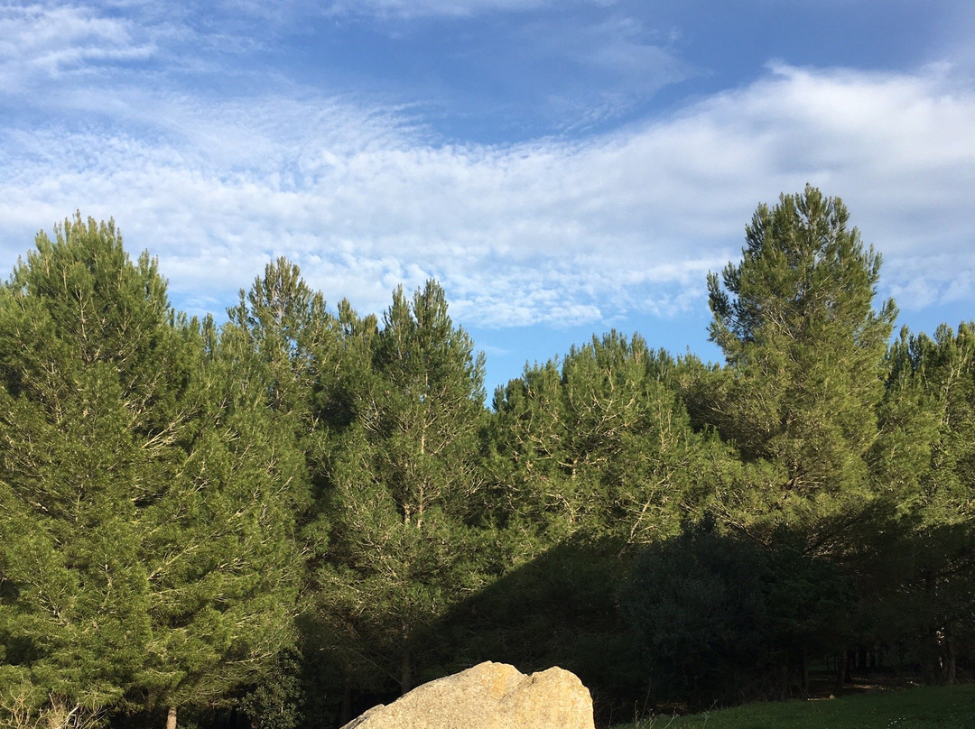 Chiesa di San Paolo Apostolo-Gonnostramatza必去景点