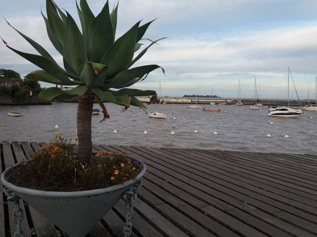 Muelle del Puerto de Yates-科洛尼亚·德尔萨克拉门托城必去景点