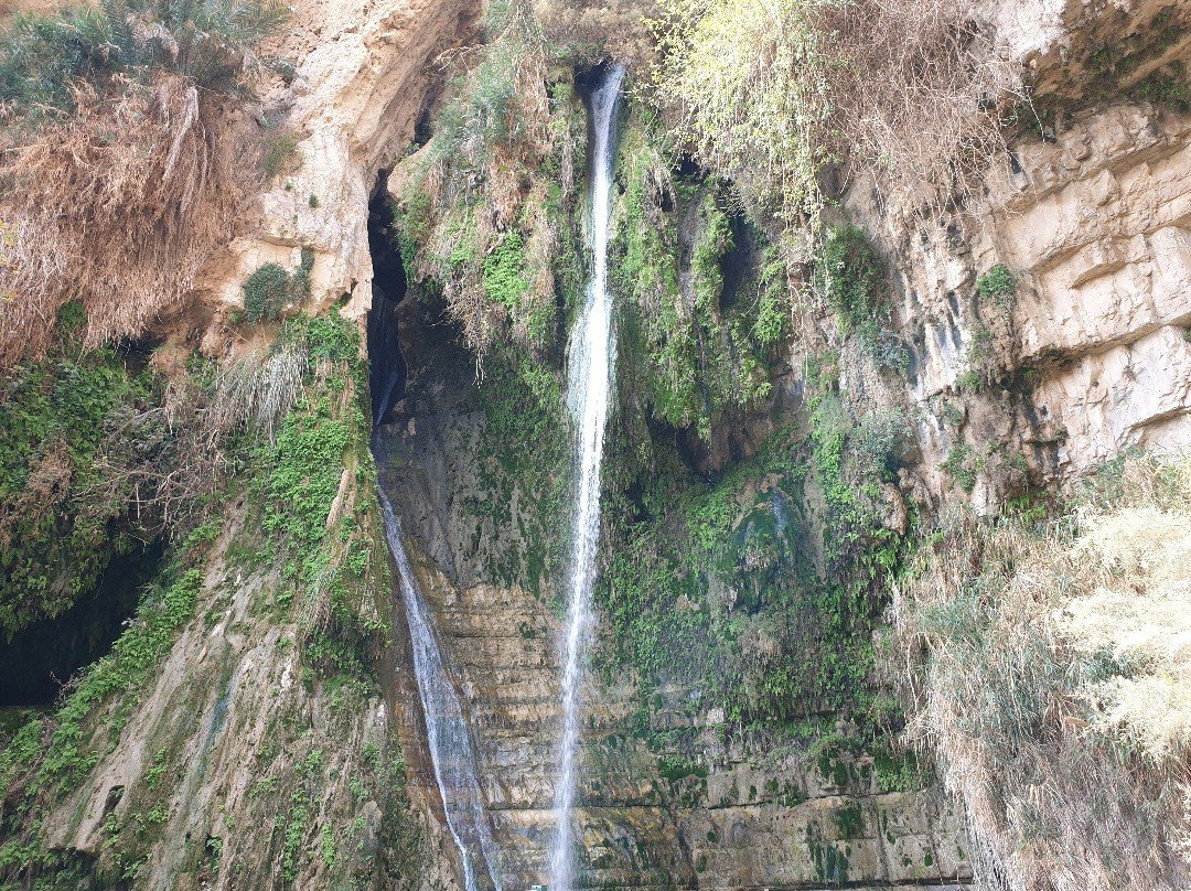 En Gedi Nature Reserve-死海地区必去景点