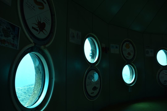 Ashizuri-Uwakai National Park-四国必去景点