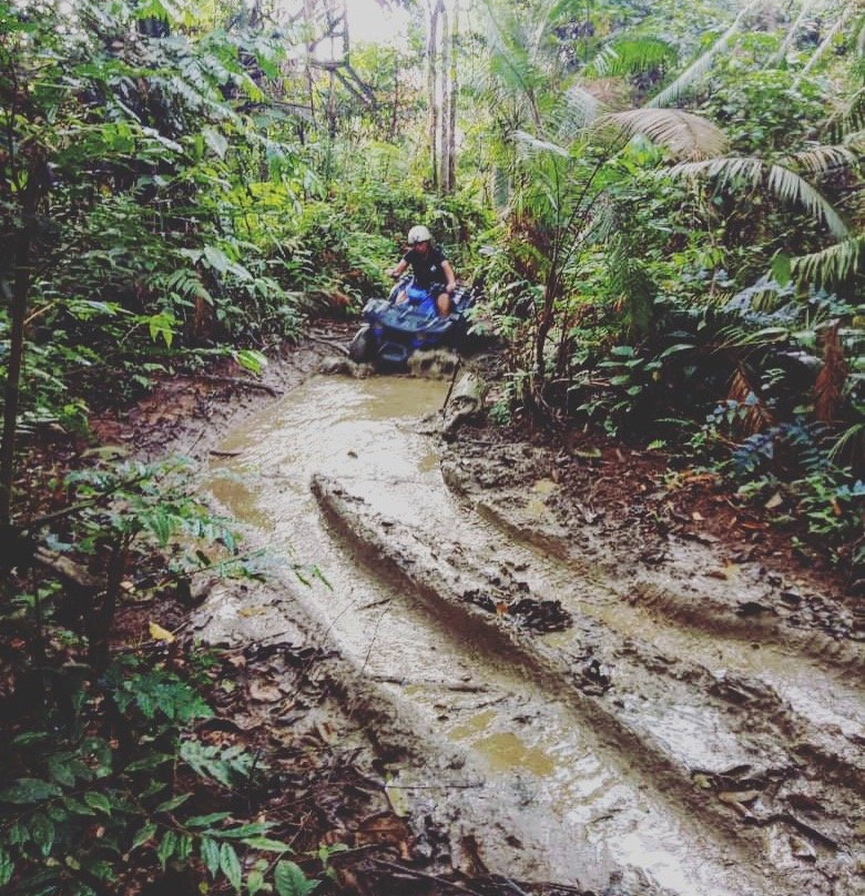 ATV Adventure Park Larut-太平必去景点