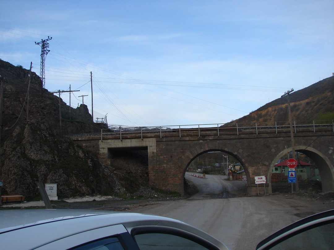 Mutu Koprusu景点图片