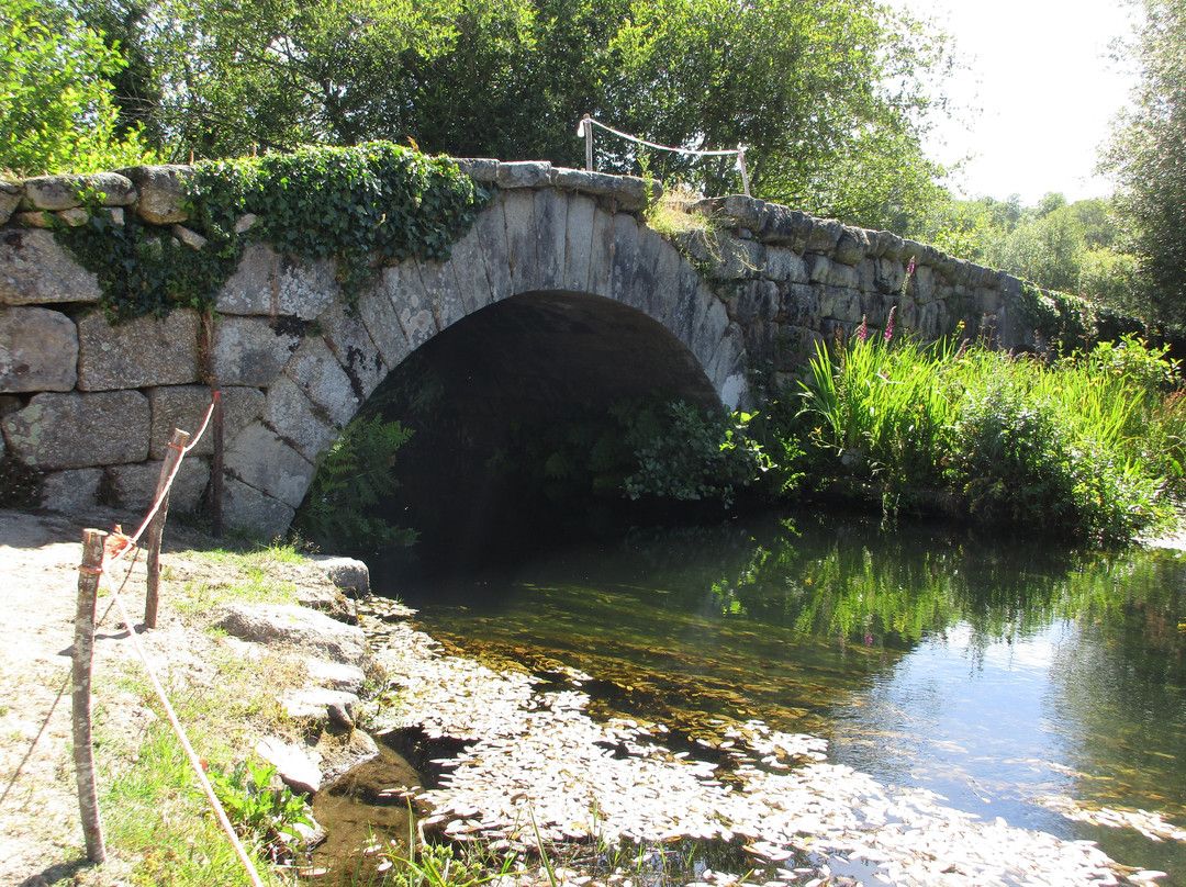 Ponte das Tabuas景点图片