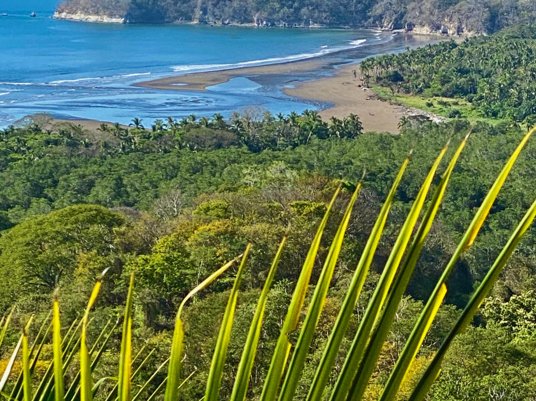 Vista Las Islas Hotel主图