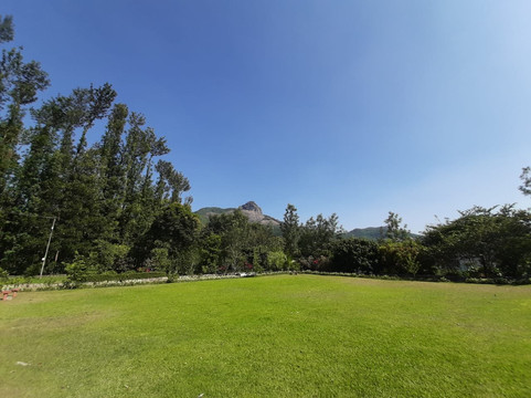 The Sattva Nature Retreat主图