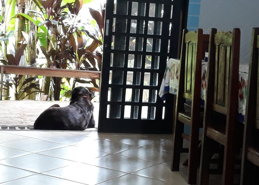 Pousada Mirante da Serra主图