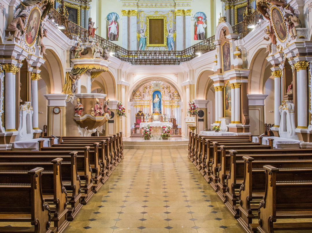 Telšiai Cathedral景点图片