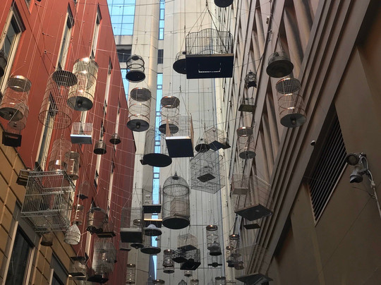 Forgotten Songs-悉尼必去景点