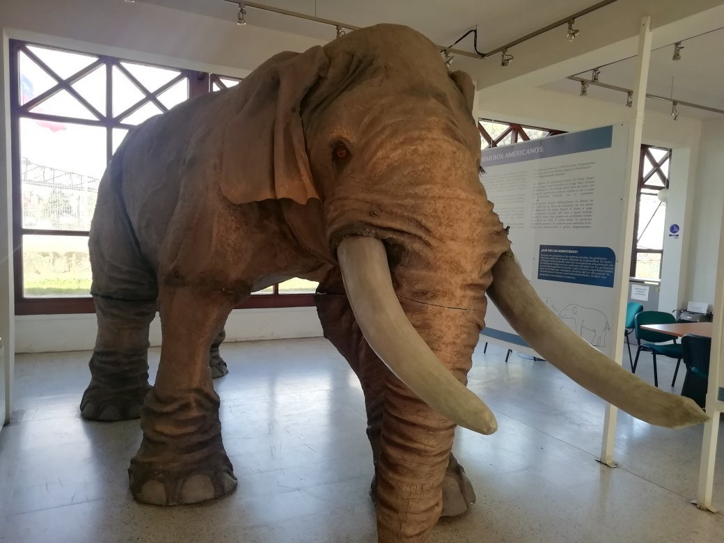 Museo Historico de Puerto Montt Juan Pablo II-蒙特港必去景点