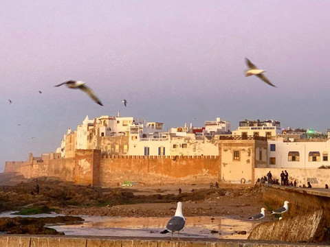 Navette Essaouira-索维拉必去景点