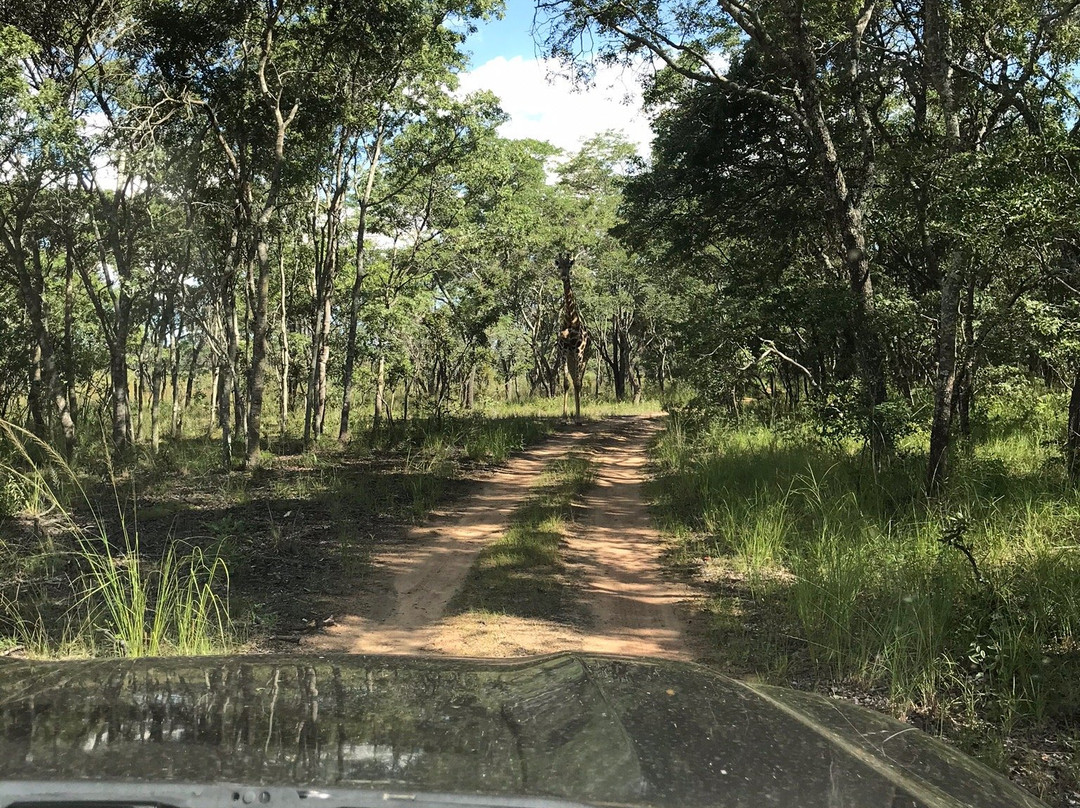 Lake Chivero Recreational Park景点图片