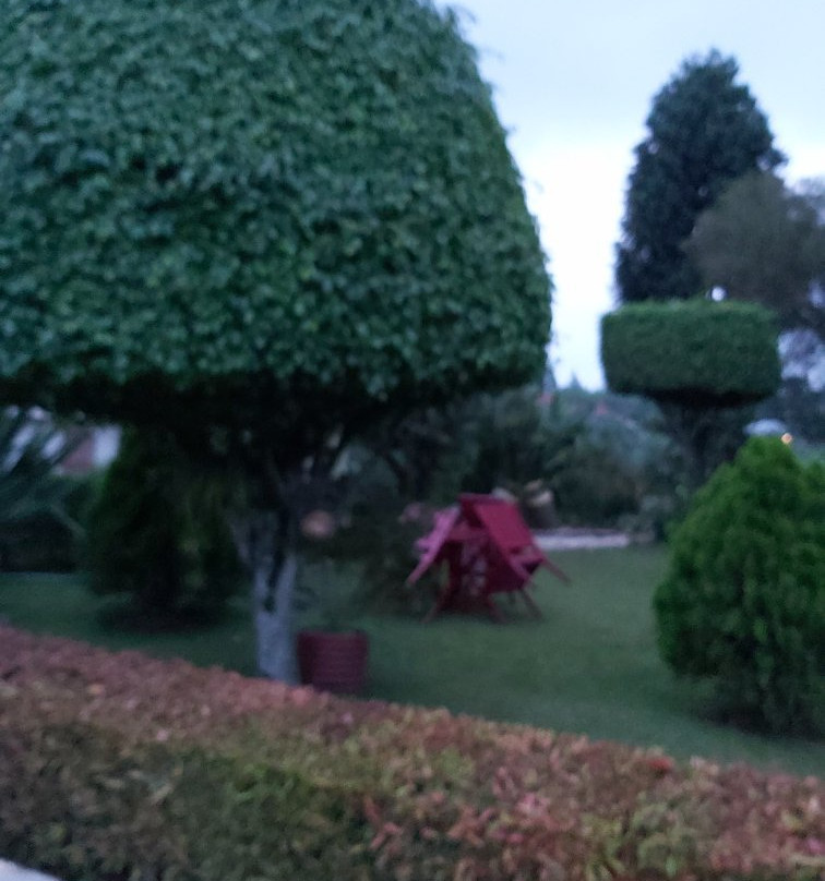 Sheevys Bed and Breakfast主图