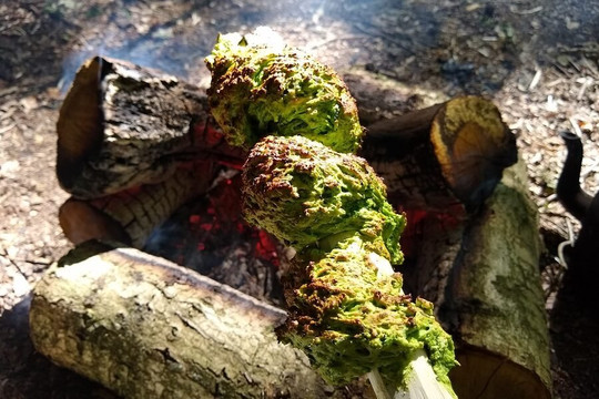 Bushcraft with David Willis-Chalfont St. Giles必去景点