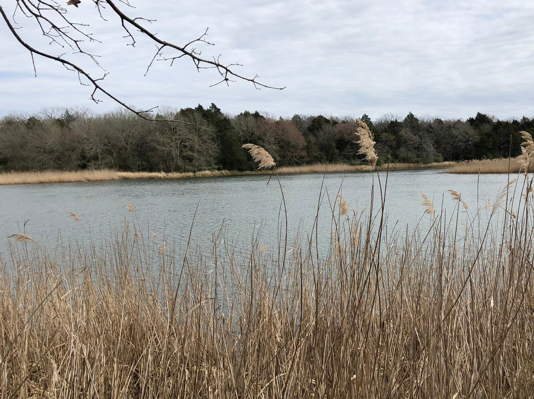 Fairfield Lake State Park-Fairfield必去景点