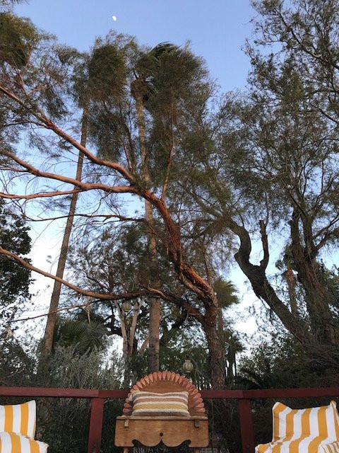 The Good House主图