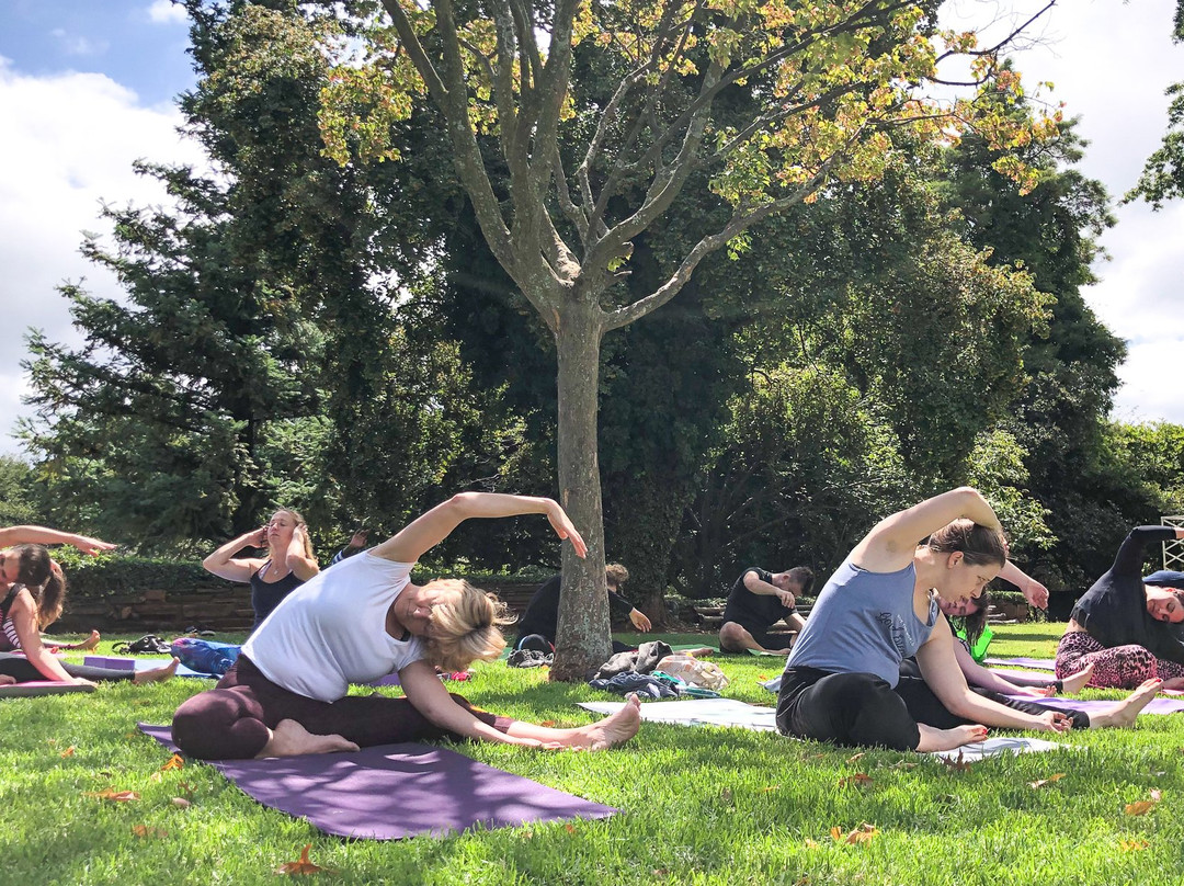 Yoga Works-约翰内斯堡必去景点