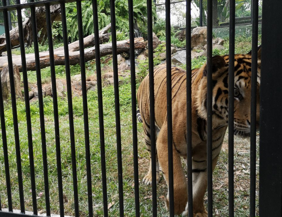 National Zoological Gardens of Sri Lanka景点图片