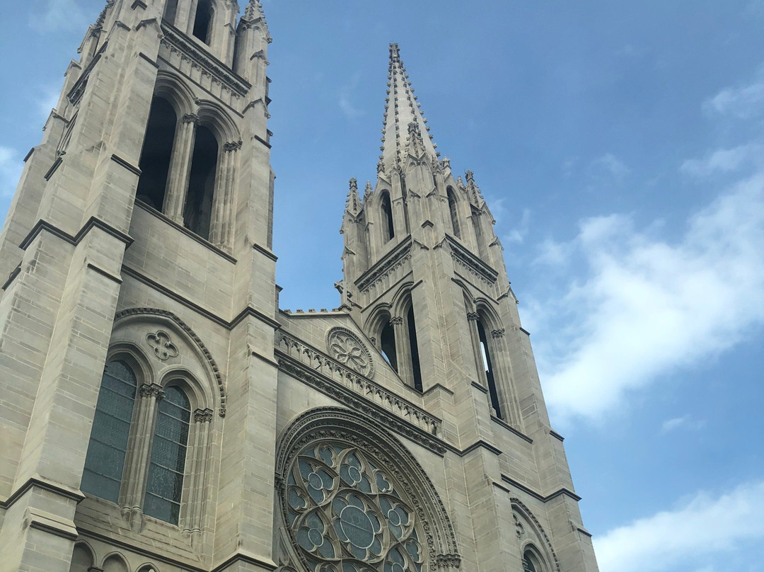 Cathedral of the Immaculate Conception景点图片