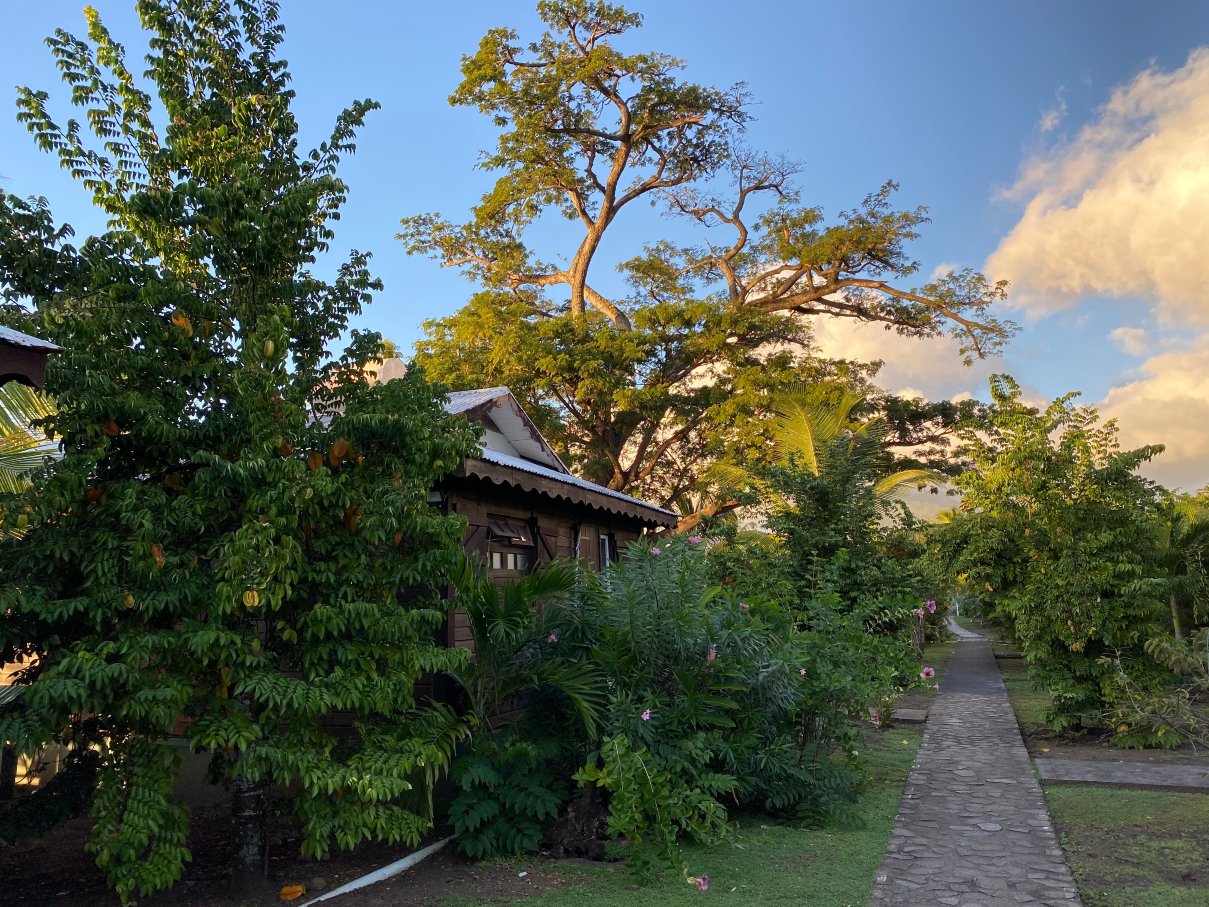 皮卡德海滩别墅酒店-泳池