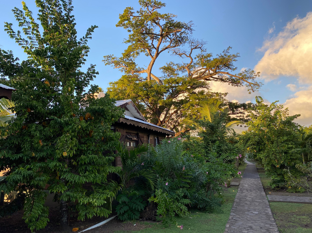 皮卡德海滩别墅酒店主图