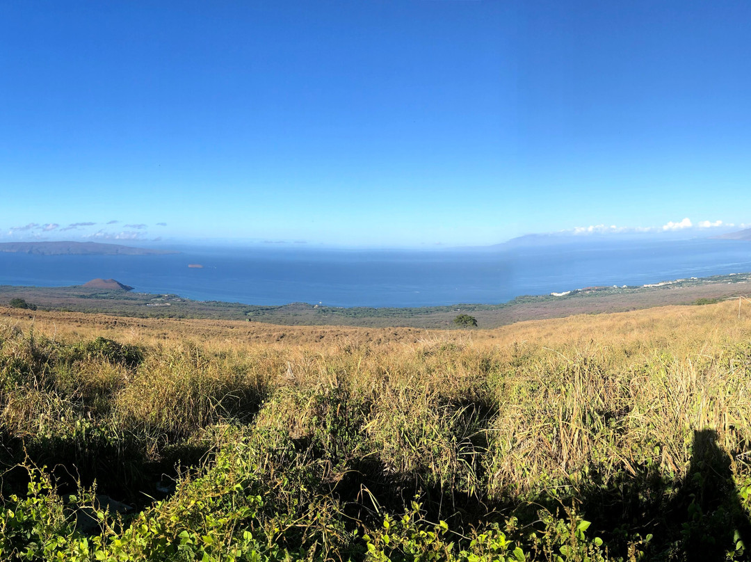 毛伊岛威雷亚原住客栈主图