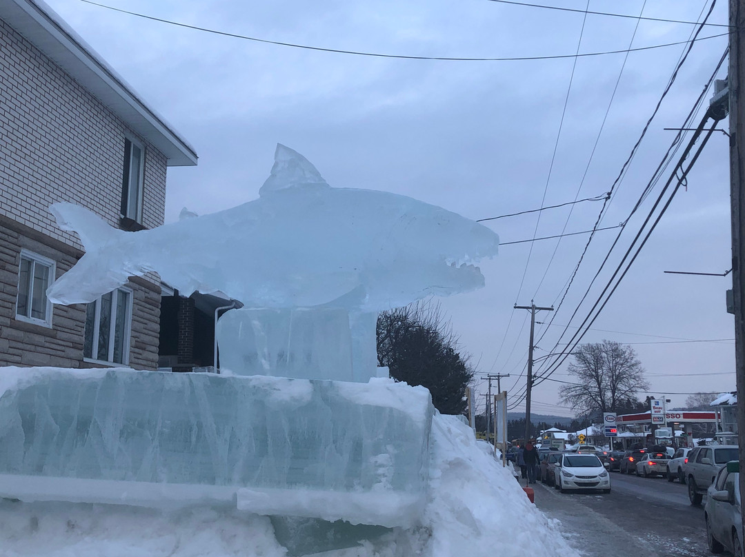 Bonjour Nature-蒙特利尔必去景点
